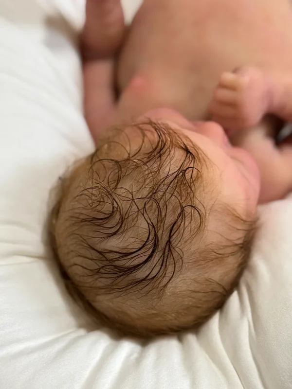 Scarlett silicone reborn baby girl doll hair details
