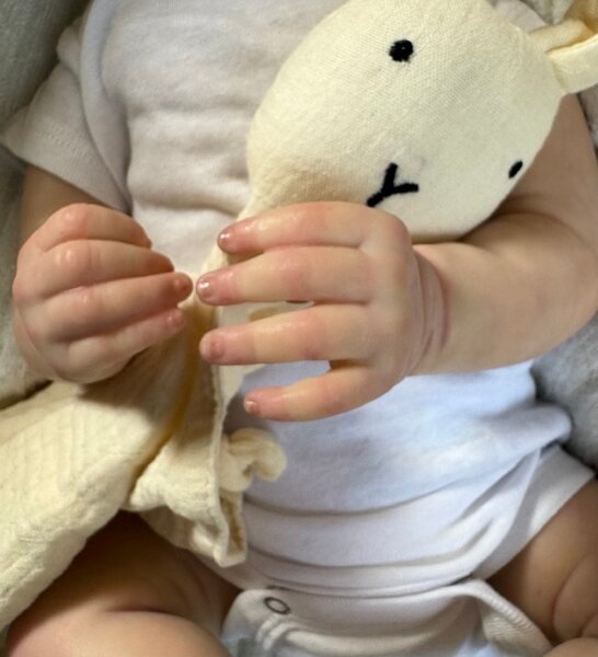 Evelyn — Charming Vinyl Reborn Baby Girl Doll | 19" Lifelike Weighted Newborn