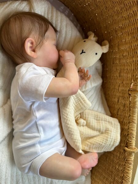 Evelyn — Charming Vinyl Reborn Baby Girl Doll | 19" Lifelike Weighted Newborn