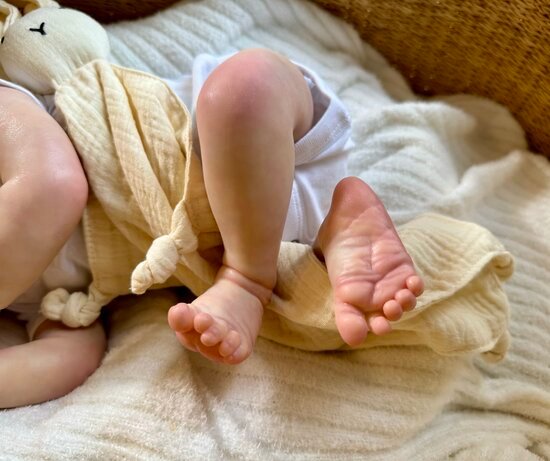 Evelyn — Charming Vinyl Reborn Baby Girl Doll | 19" Lifelike Weighted Newborn