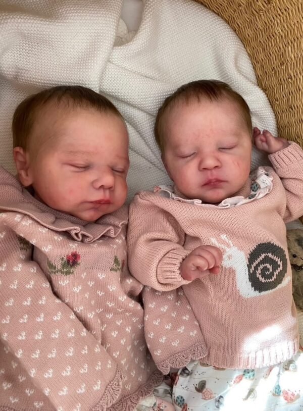 8f5eccb6-4f78-4cfd-a4c6-0e74b171a2d1 Twin Hearts — Realistic Silicone Baby Twins