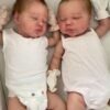 c703d0d4-74d3-496c-9975-620a990bed4e Twin Hearts — Realistic Silicone Baby Twins