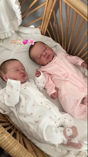 Twin Hearts — Realistic Silicone Baby Twins